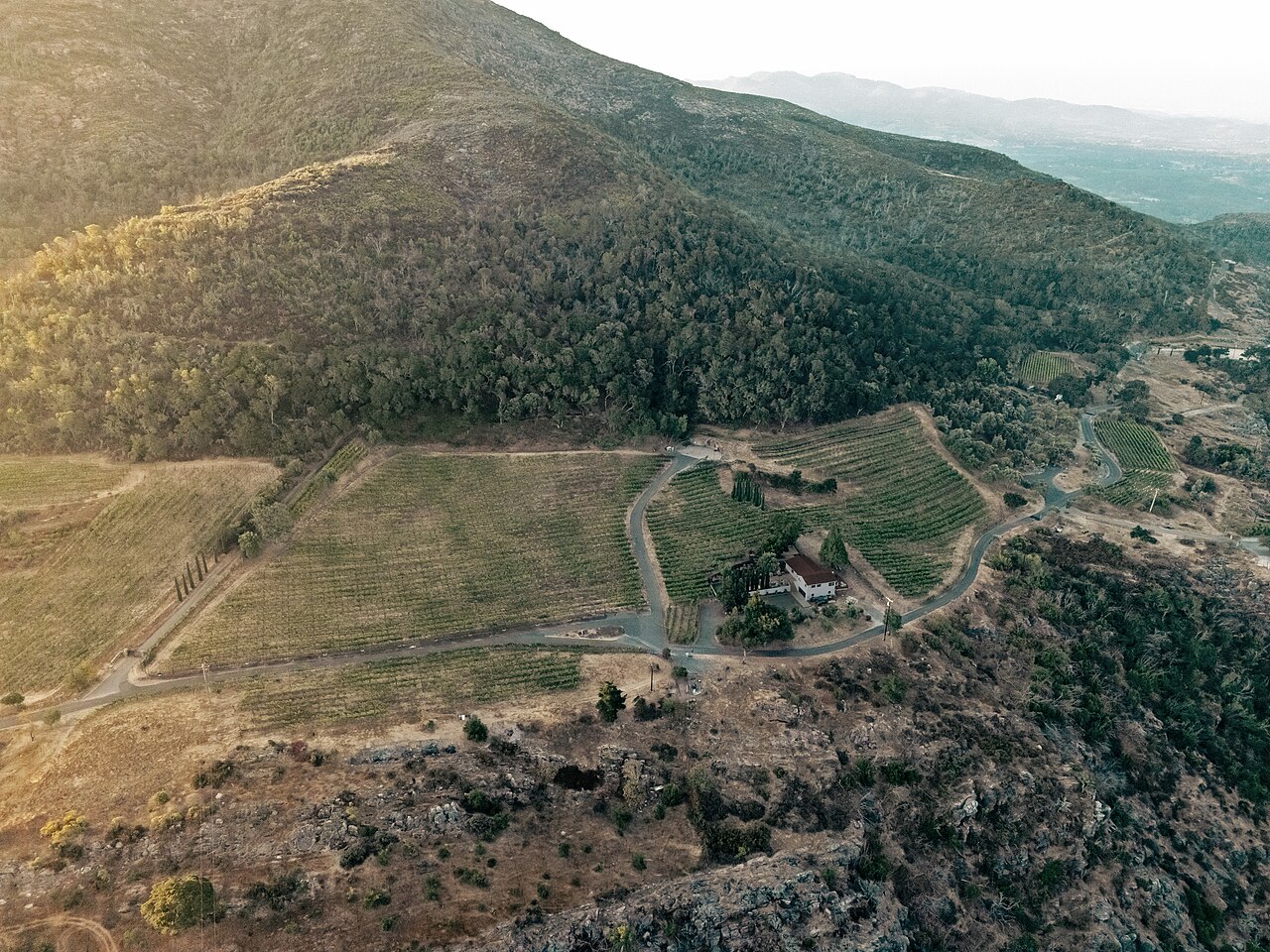 Sown Estate vineyard in Napa, California, August 27, 2025. Illustrative wine-industry context only: this is not established as a property of ESTCRU, TimMynett, or IlhanOmar.
